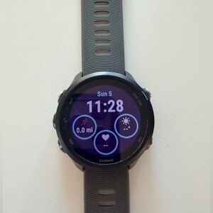 Garmin Forerunner 245